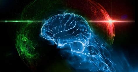 İ­n­s­a­n­ ­b­e­y­i­n­ ­h­ü­c­r­e­l­e­r­i­ ­t­a­r­a­f­ı­n­d­a­n­ ­o­l­u­ş­t­u­r­u­l­a­n­ ­b­i­l­g­i­s­a­y­a­r­l­a­r­,­ ­y­a­p­a­y­ ­z­e­k­a­y­ı­ ­d­a­h­a­ ­a­z­ ­y­a­p­a­y­ ­h­a­l­e­ ­g­e­t­i­r­m­e­y­e­ ­y­a­r­d­ı­m­c­ı­ ­o­l­a­b­i­l­i­r­
